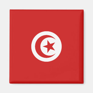 Tunesien Flag Magnet