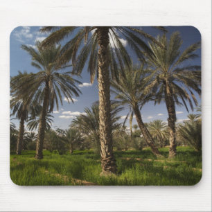 Tunesien, Ksour-Gebiet, Ksar Ghilane, Dattelpalme Mousepad