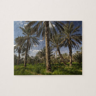 Tunesien, Ksour-Gebiet, Ksar Ghilane, Dattelpalme Puzzle