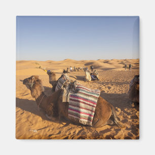 Tunesien, Ksour-Gebiet, Ksar Ghilane, Grand Erg 3 Magnet