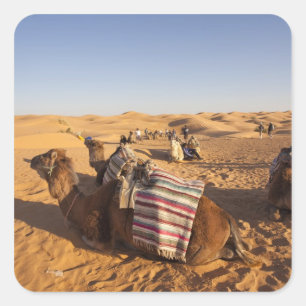 Tunesien, Ksour-Gebiet, Ksar Ghilane, Grand Erg 3 Quadratischer Aufkleber