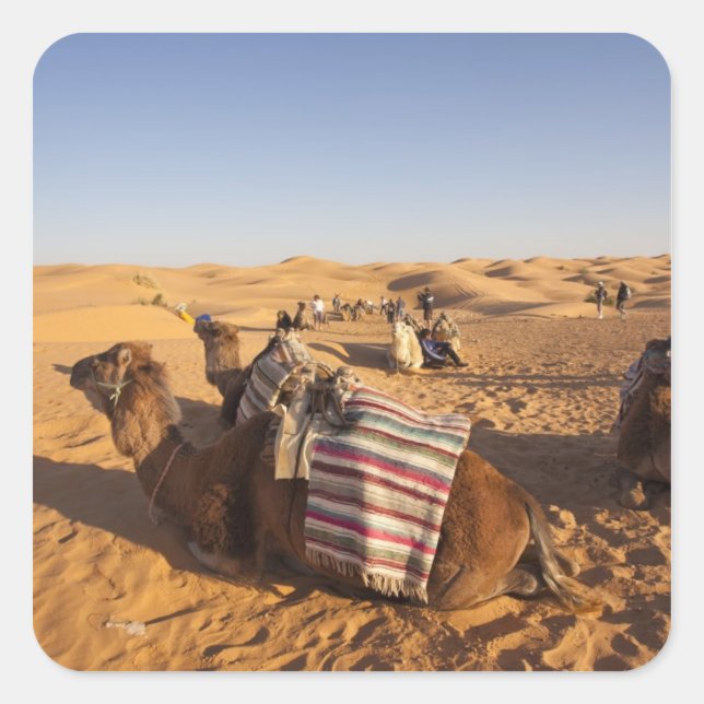 Tunesien, Ksour-Gebiet, Ksar Ghilane, Grand Erg 3 Quadratischer Aufkleber (Vorderseite)