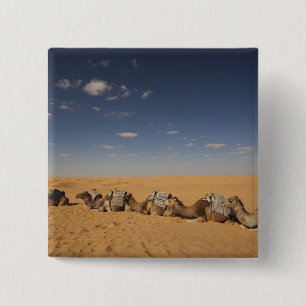 Tunesien, Ksour-Gebiet, Ksar Ghilane, Grand Erg 4 Button
