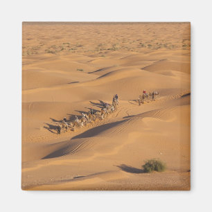 Tunesien, Ksour-Gebiet, Ksar Ghilane, Grand Erg 4 Magnet