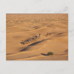 Tunesien, Ksour-Gebiet, Ksar Ghilane, Grand Erg 4 Postkarte