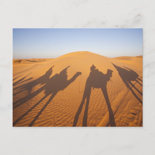 Tunesien, Ksour-Gebiet, Ksar Ghilane, Grand Erg 5 Postkarte (Vorderseite)