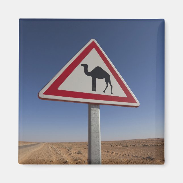 Tunesien, Ksour-Gebiet, Ksar Ghilane, Grand Erg 6 Magnet (Vorne)