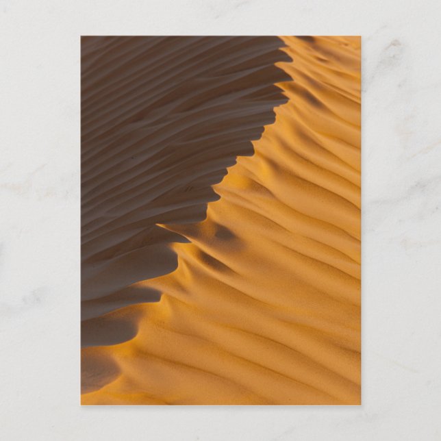 Tunesien, Ksour-Gebiet, Ksar Ghilane, Grand Erg Postkarte (Vorderseite)