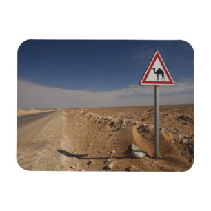 Tunesien, Ksour-Gebiet, Ksar Ghilane, Öl-Pipeline Magnet