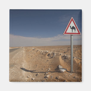 Tunesien, Ksour-Gebiet, Ksar Ghilane, Ölpipeline Magnet