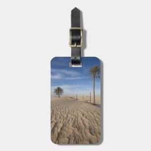 Tunesien, Sahara-Wüste, Douz, Great Dune, Morgengr Gepäckanhänger