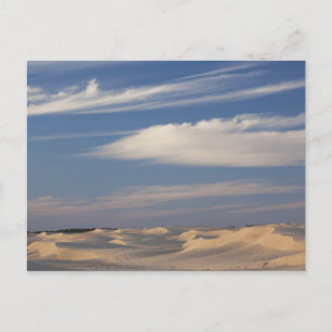 Tunesien, Sahara-Wüste, Douz, Große Düne, Dämmerun Postkarte