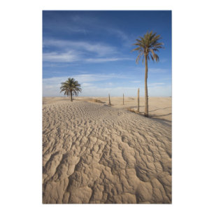 Tunesien, Sahara-Wüste, Douz, Große Düne, Morgendä Fotodruck