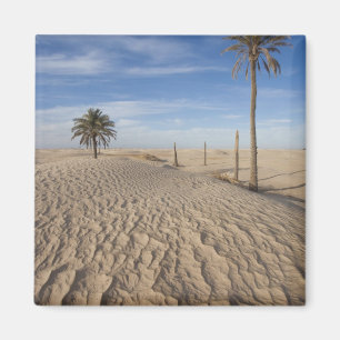 Tunesien, Sahara-Wüste, Douz, Große Düne, Morgendä Magnet