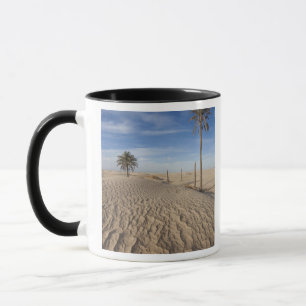 Tunesien, Sahara-Wüste, Douz, Große Düne, Morgendä Tasse