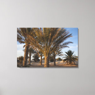 Tunesien, Sahara-Wüste, Douz, Große Düne, Palme Leinwanddruck