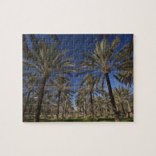 Tunesien, Sahara-Wüste, Douz, Tourismusgebiet, 2 Puzzle