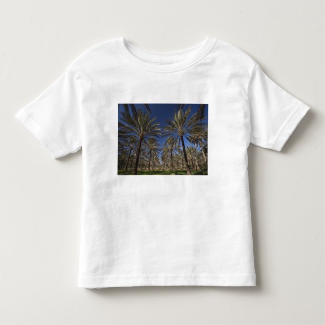 Tunesien, Sahara Wüste, Douz, Zone Touristique, 2 Kleinkind T-shirt (Vorderseite)