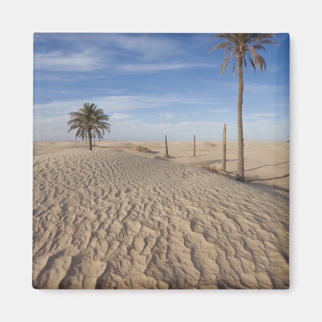 Tunesien, Wüste Sahara, Douz, großer Düne, Morgeng Magnet (Vorne)