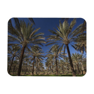 Tunesien, Wüste Sahara, Douz, Zone Touristique, 2 Magnet