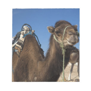 Tunesien, Wüste Sahara, Douz, Zone Touristique, Notizblock