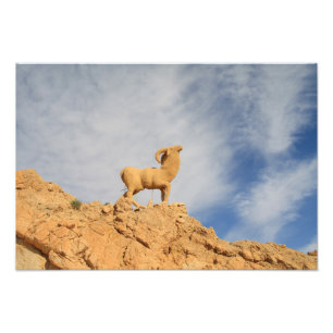 Tunesier Ziegenstatue Fotodruck