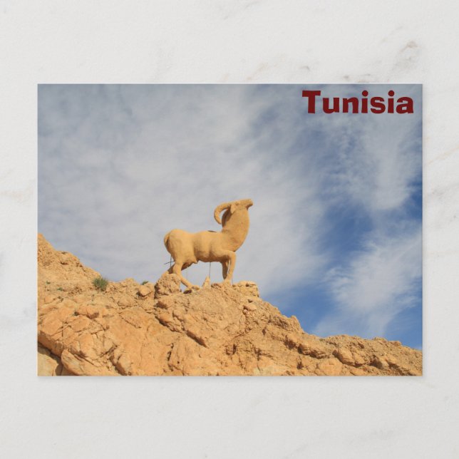 Tunesier Ziegenstatue Postkarte (Vorderseite)