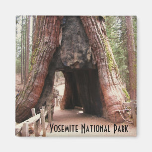 Tunnel-Baum Yosemite Magnet