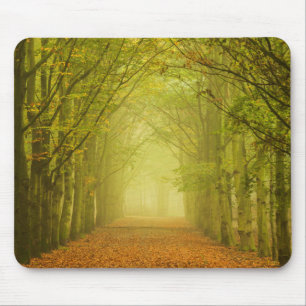 Tunnel des Lichtes im Waldmousepad Mousepad