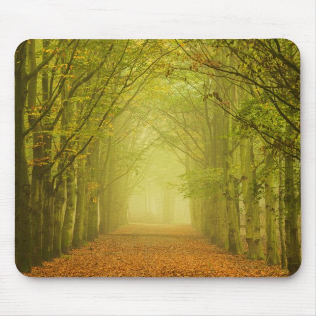 Tunnel des Lichtes im Waldmousepad Mousepad (Vorne)