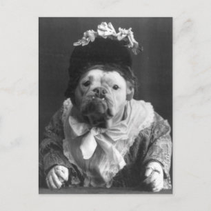 Tunt Maude Dog Postkarte