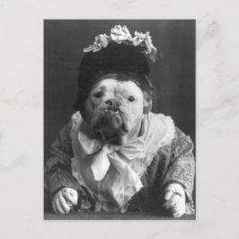 Tunt Maude Dog Postkarte