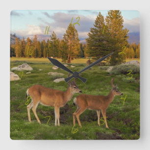 Tuolumne Meadow, Yosemite Quadratische Wanduhr
