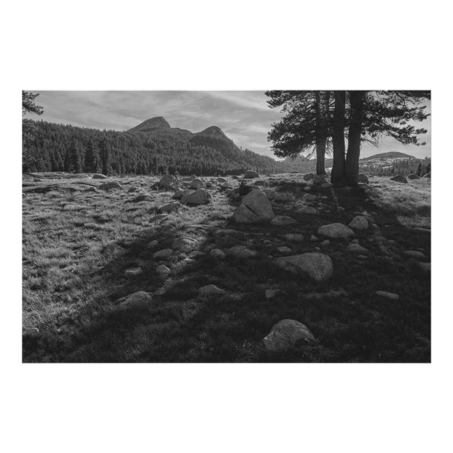 Tuolumne Meadows of Yosemite National Park Fotodruck (Vorne)