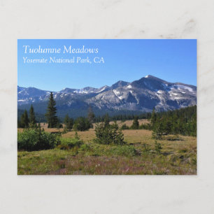 Tuolumne Meadows, Yosemite, CA Postcard Postkarte