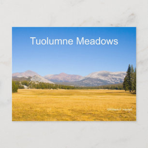 Tuolumne Meadows Yosemite Postkarte