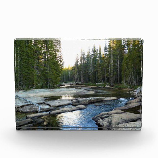 Tuolumne River by Campground, Yosemite, CA Fotoblock (Vorderseite)