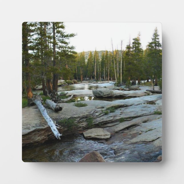 Tuolumne River by Campground, Yosemite, CA Fotoplatte (Vorderseite)
