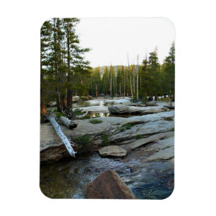 Tuolumne River by Campground, Yosemite, CA Magnet