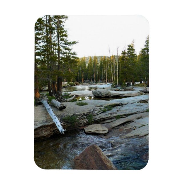 Tuolumne River by Campground, Yosemite, CA Magnet (Vertikal)
