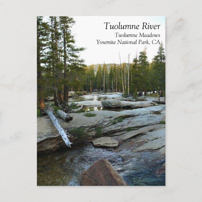 Tuolumne River by Campground, Yosemite, CA Postcar Postkarte (Vorderseite)