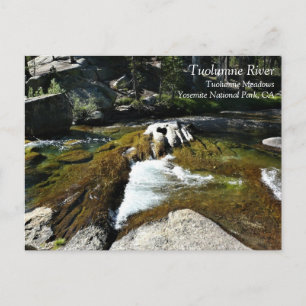 Tuolumne River in Tuolumne Meadows, Yosemite, CA P Postkarte