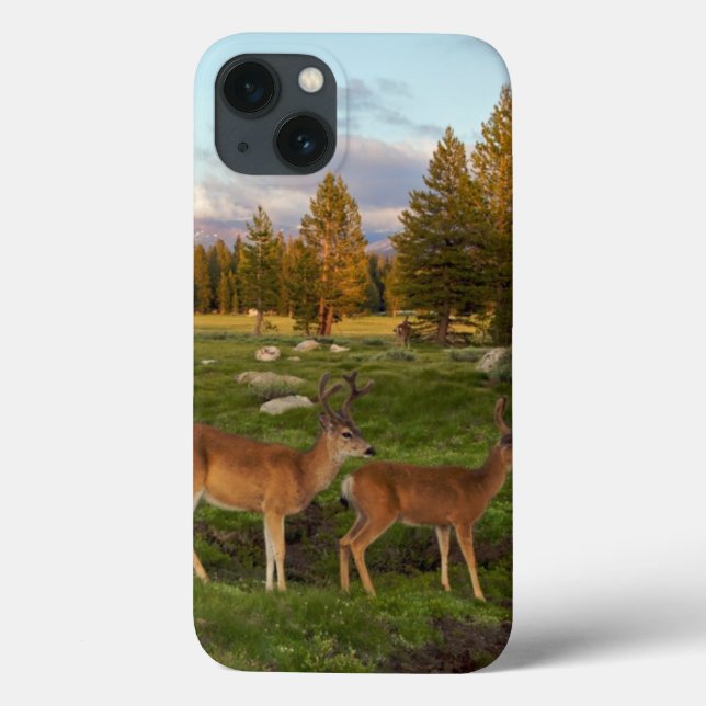 Tuolumne Wiese, Yosemite Case-Mate iPhone Hülle (Rückseite)