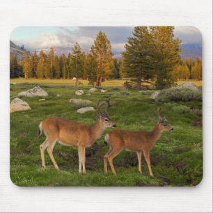 Tuolumne Wiese, Yosemite Mousepad