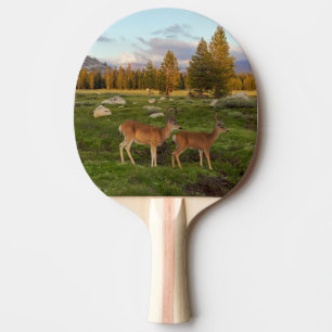 Tuolumne Wiese, Yosemite Tischtennis Schläger