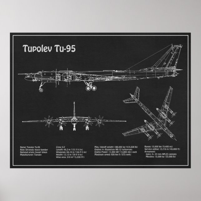 Tupolev Tu-95 - Flugzeugkonzepte PD Poster (Vorne)