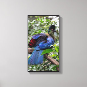 Turaco, lila entworfen leinwanddruck