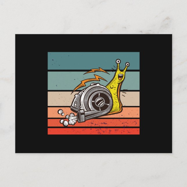 Turboschnecke Postkarte (Vorderseite)