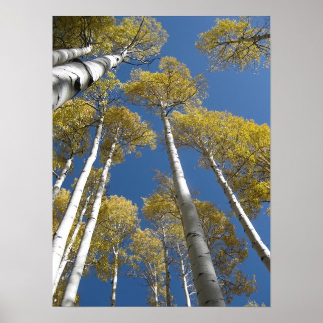 Türenden (5) Plakat (Vorne)