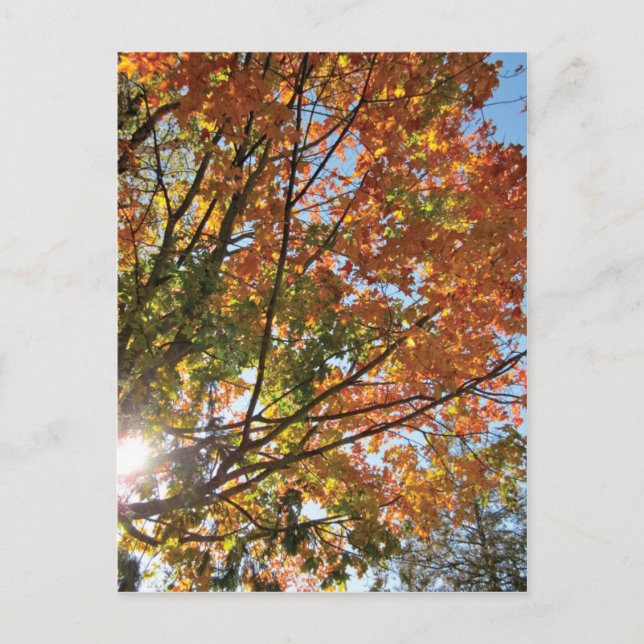 Türfall des Landkreises Postkarte (Vorderseite)